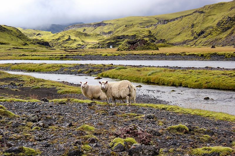 Eldgjá - Islande