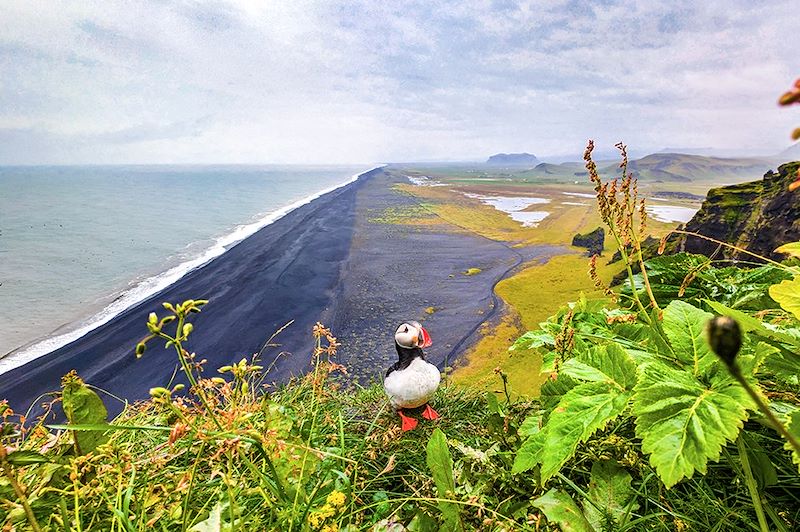 Aventure en Islande à la découverte des merveilles naturelles du Sud en 4x4 et camping : Cercle d’or, Hekla, Laki, Skaftafell, Vík