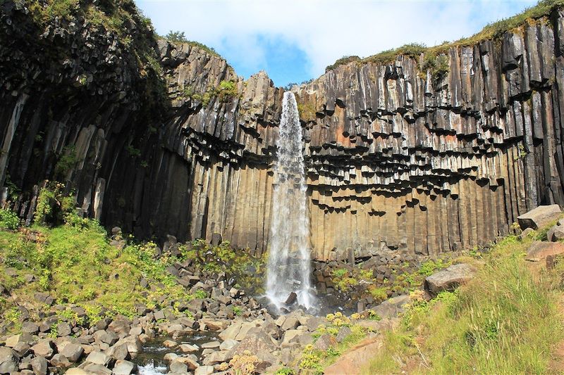 Svartifoss - Parc National de Skaftafell - Islande