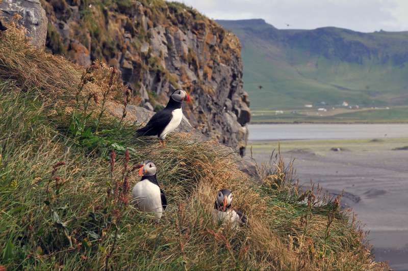 voyage Islande
