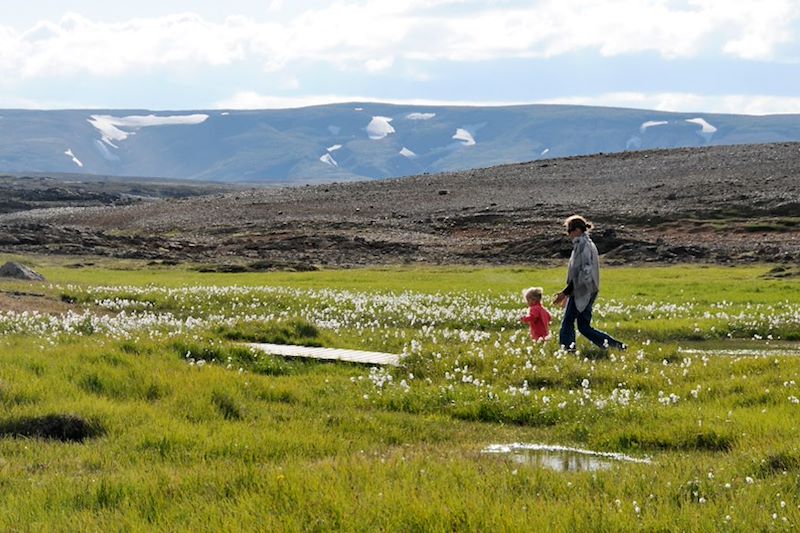 Elfes, feu et glace