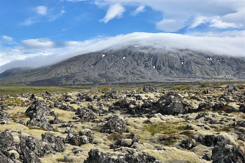 Elfes, feu et glace