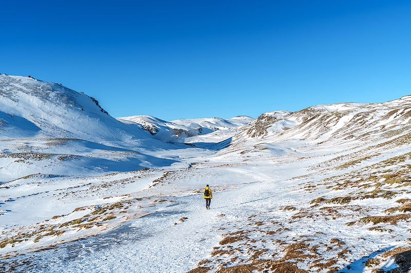 Vallée de Reykjadalur - Suðurland - Islande