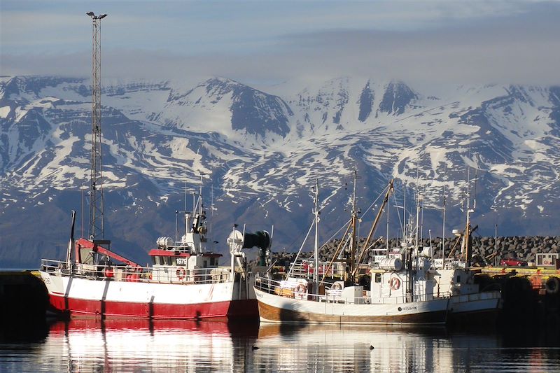 Trekking dans les fjords de l'est 