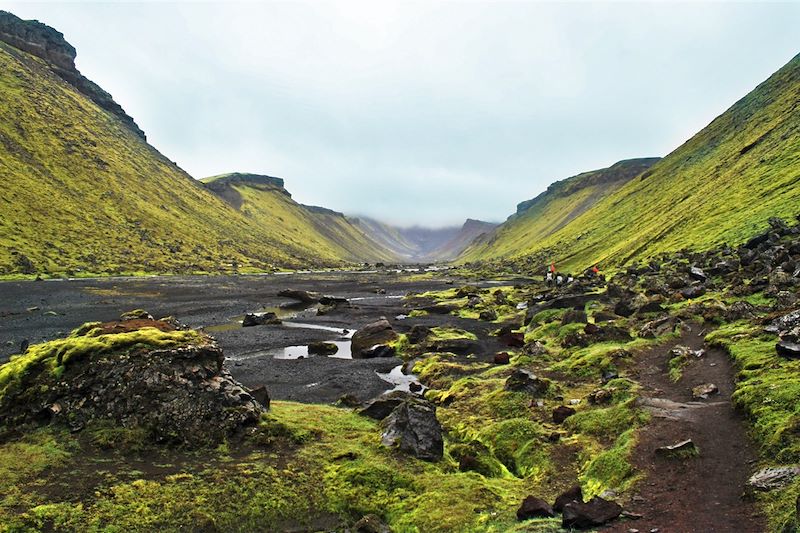 Sur la piste du rift