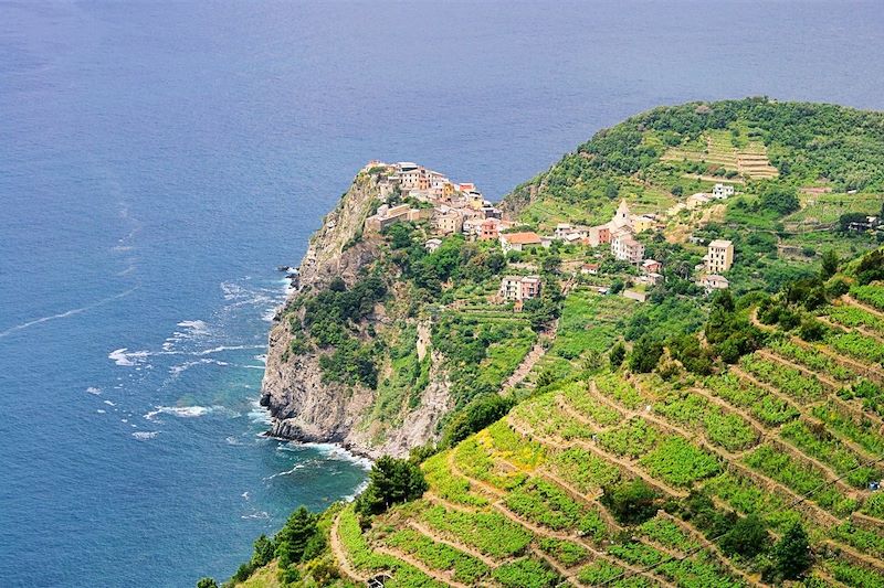 Cinque Terre et Portofino (A/R en train)