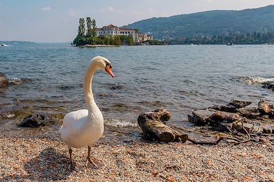 Spectaculaires lacs italiens (A/R en train) 3