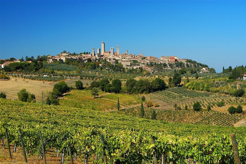 Pleins feux sur la Toscane (A/R en train)