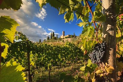 voyage Gourmandises en Toscane (A/R en train)