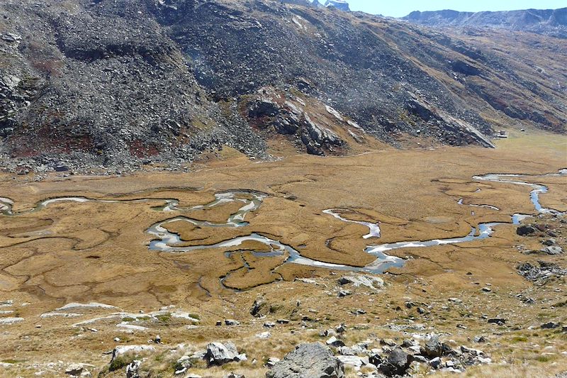 Le Grand Paradis des ânes 