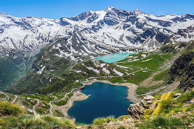 Le Grand Paradis des ânes  4