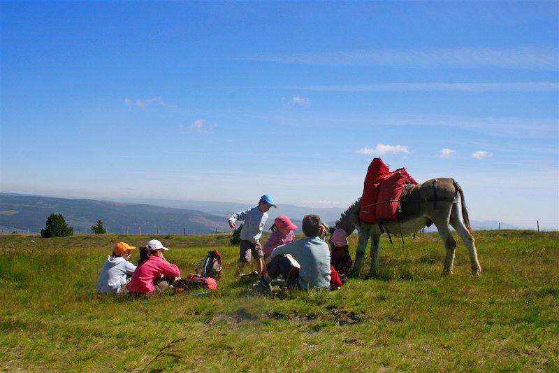 Le Grand Paradis des ânes 