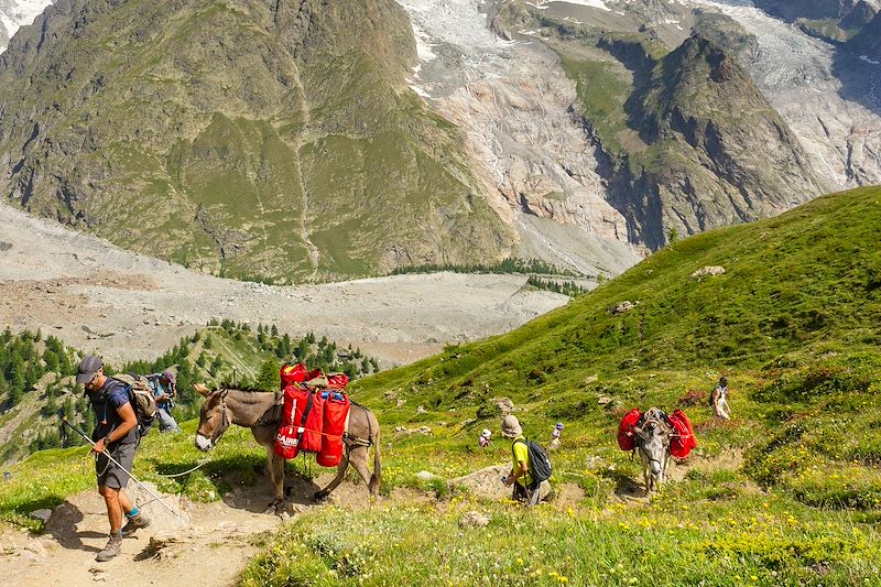 Le Grand Paradis des ânes 