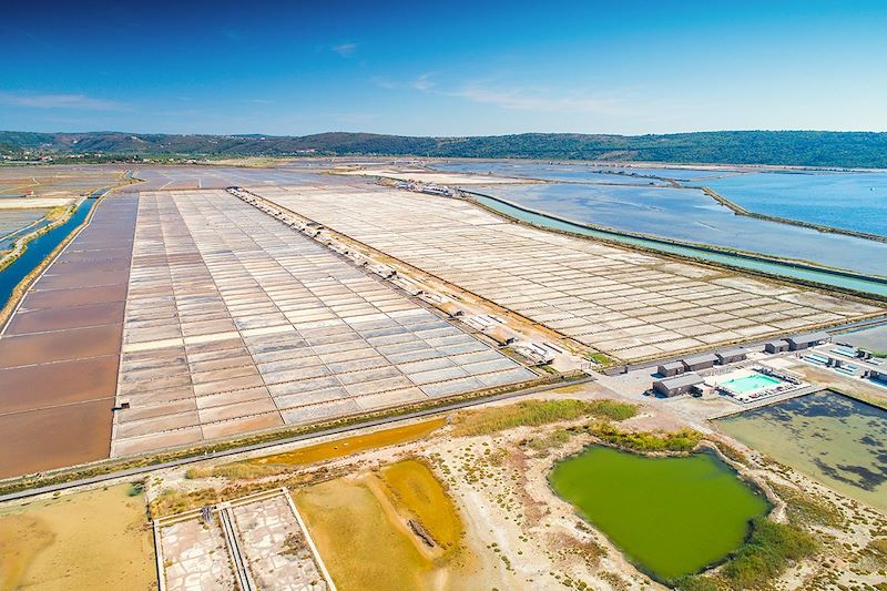 Parc naturel des salines de Secovlje - Istrie - Slovénie