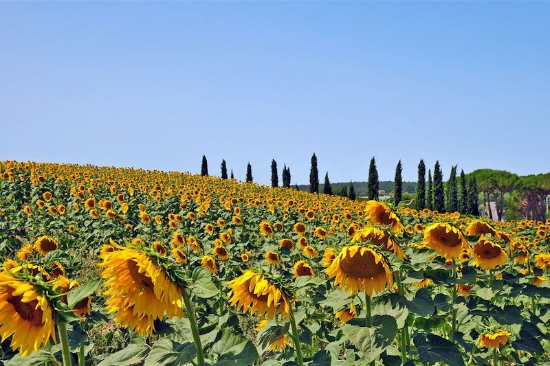 Avanti ! La Toscane à bicyclette