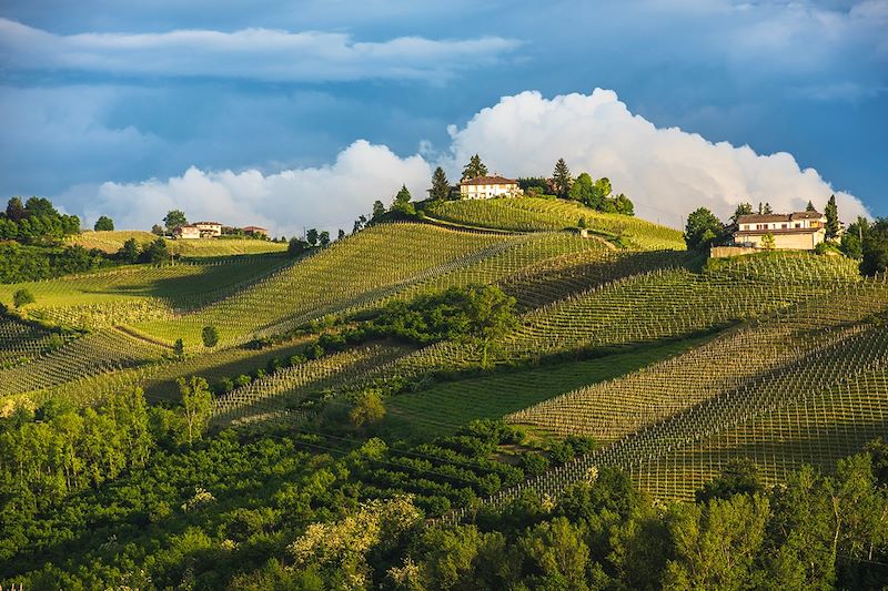 Paysages du Langhe - Piémont - Italie