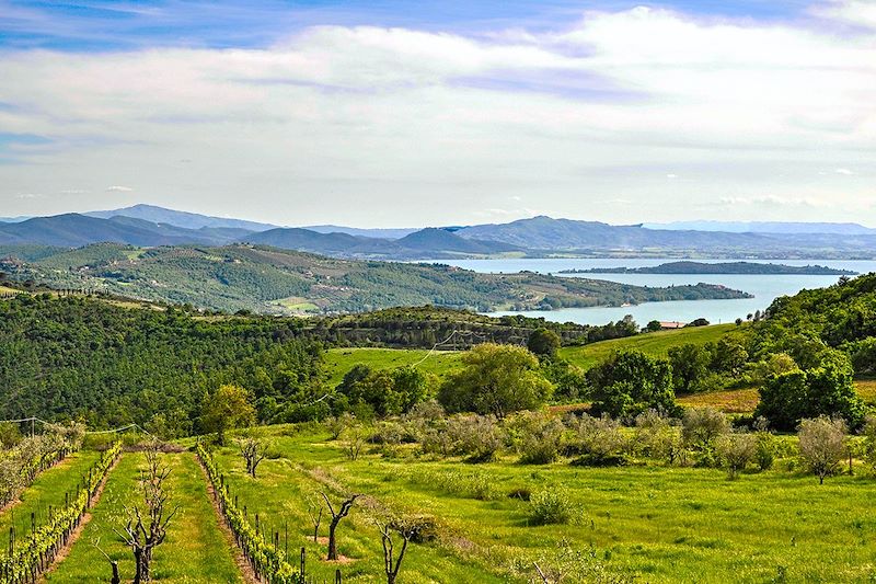 Paysages près du lac Trasimène - Ombrie - Italie