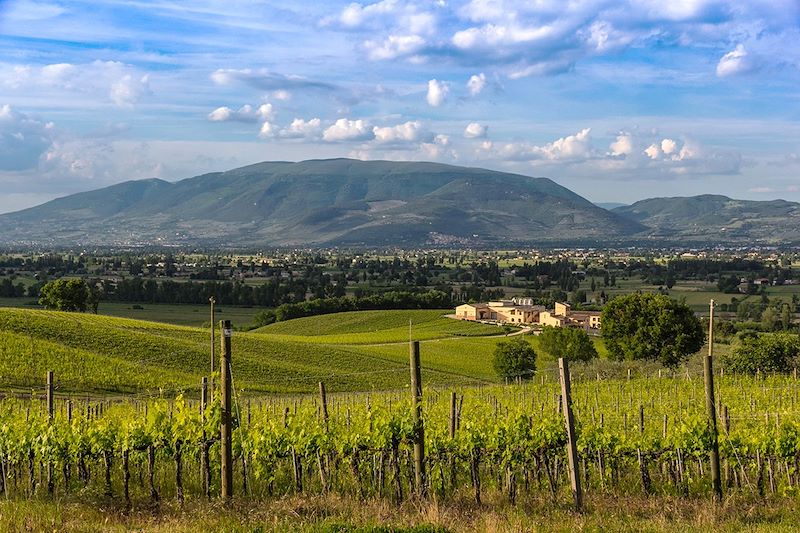 Paysages au pieds du mont Subasio - Ombrie - Italie