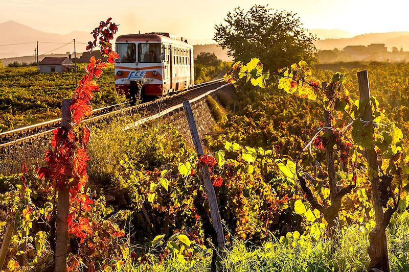 L'Italie du Sud en train (A/R en train)