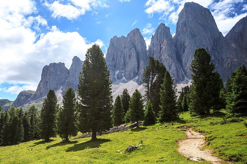 Sentier Adolf Munkel - Sud-Tyrol - Italie