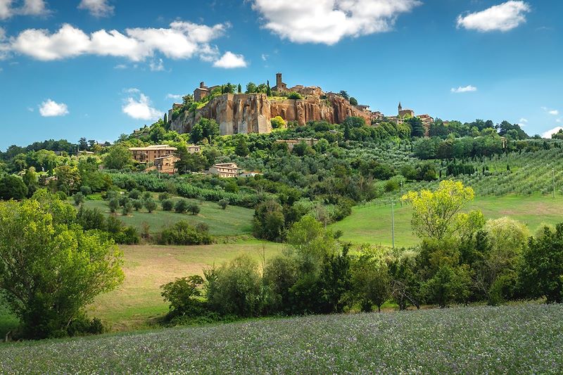 Vue sur Orvieto - Ombrie - Italie