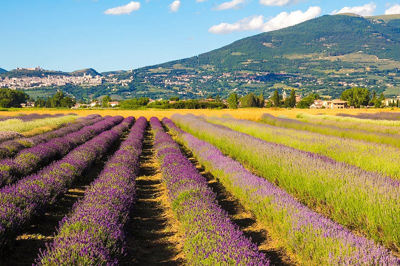 Vue d'Assise - Ombrie - Italie