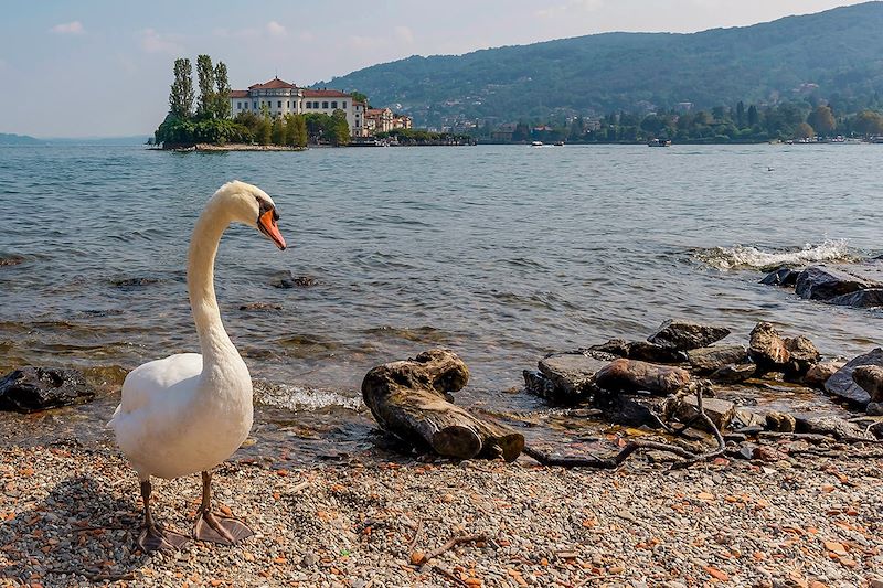 Vue sur Isola Bella depuis une plage de l'Isola Superiore - Italie