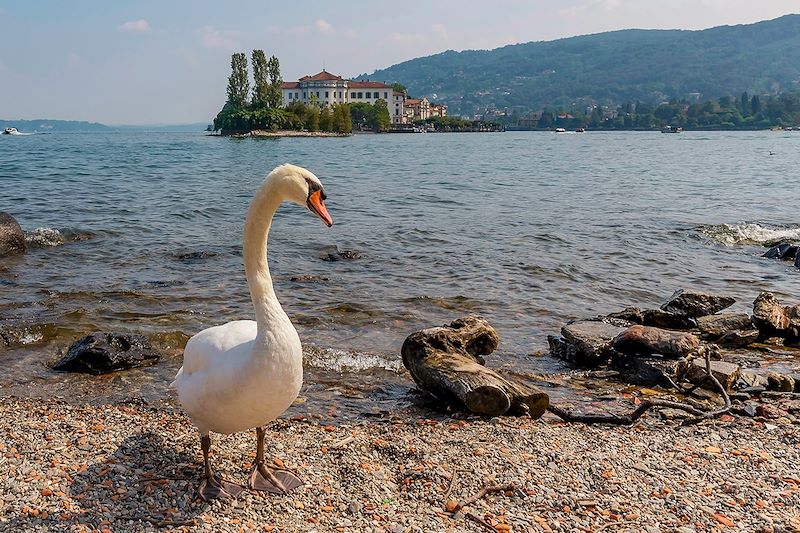 Vue sur Isola Bella depuis une plage de l'Isola Superiore - Italie