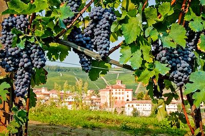 Randos au pays de la truffe et du Barolo 3