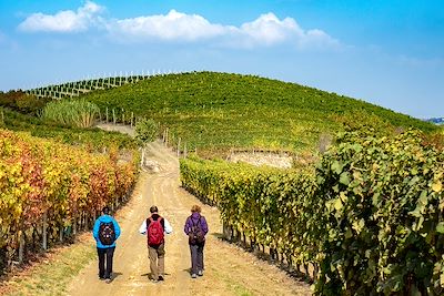 Randos au pays de la truffe et du Barolo 4