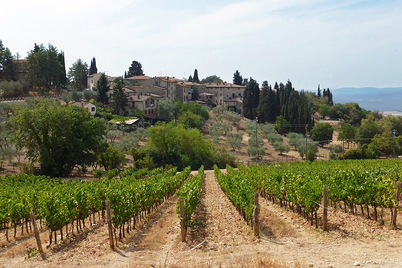 Castellina in Chianti - Sienne - Toscane - Italie