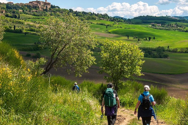 Randonneurs dans le Val d'Orcia - Toscane - Italie