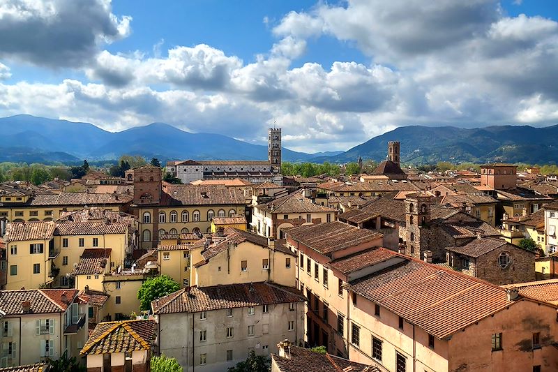 Vue sur la Torre Guinigi - Lucques - Toscane - Italie