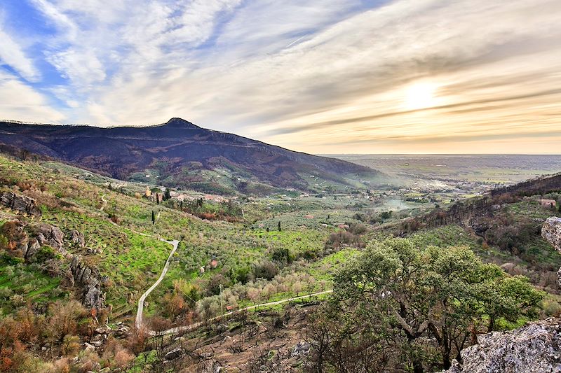 Paysage près de Pise - Toscane - Italie