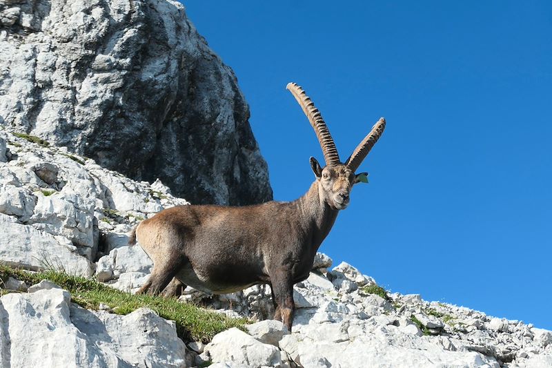 L’appel des Dolomites