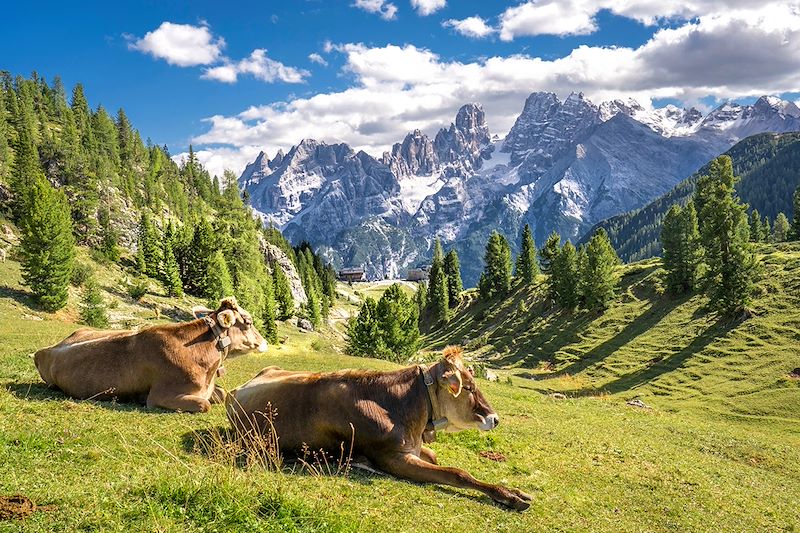 Prato Piazza - Dolomites - Italie