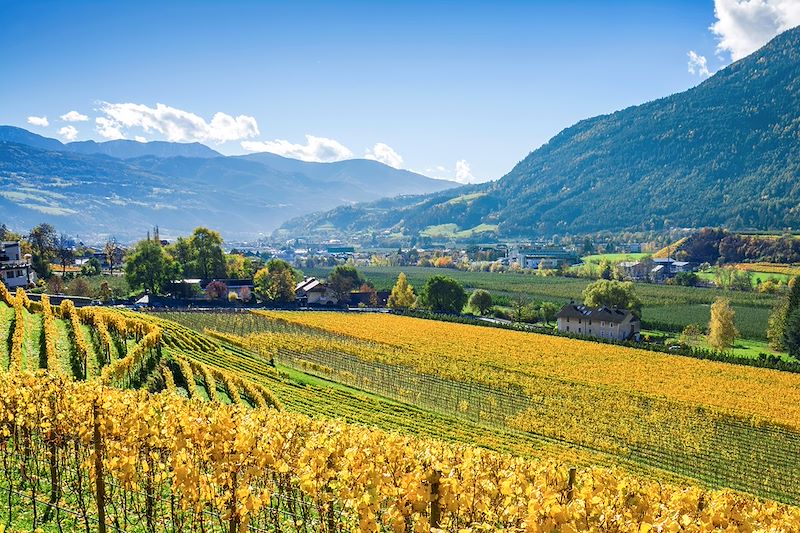 Vallée de l'Isarco près de Brassanone - Italie