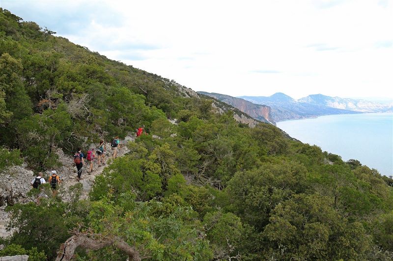 Panoramas du Selvaggio Blu