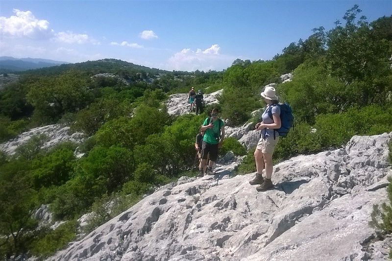 Panoramas du Selvaggio Blu