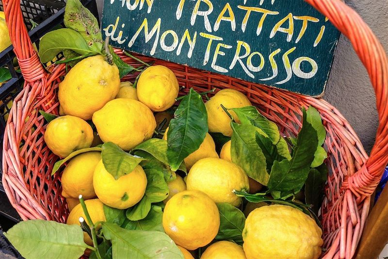 Citrons à Monterosso Al Mare - Cinque Terre - Ligurie - Italie