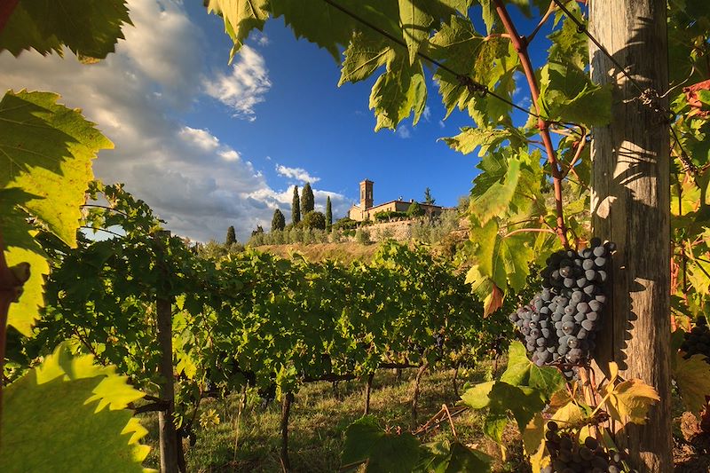 Un itinéraire d'exception en Val d'Orcia à base de randonnées, dégustations de vins et détente thermale à Chianciano