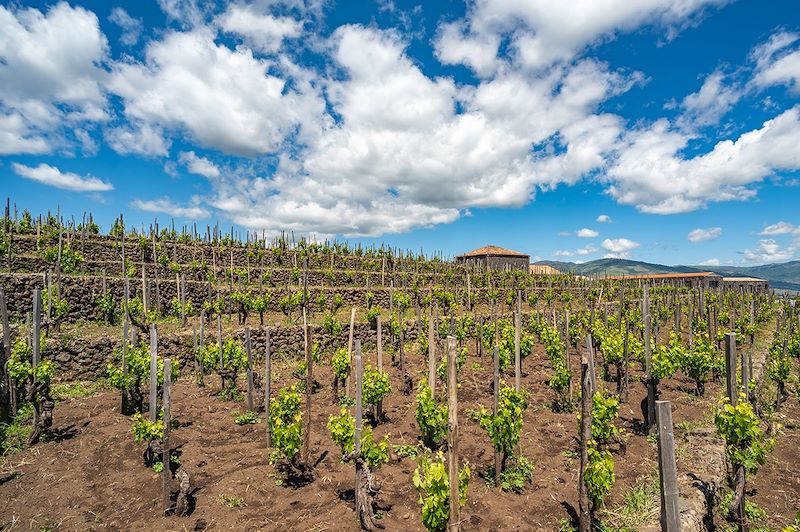 L'Italie de vignes en volcans