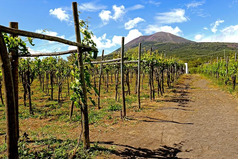 L'Italie de vignes en volcans