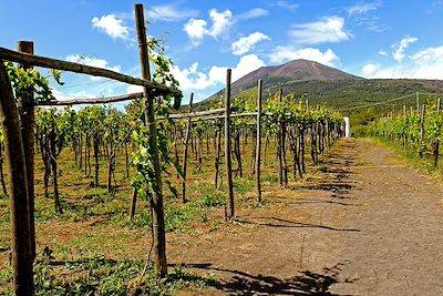 voyage L'Italie de vignes en volcans