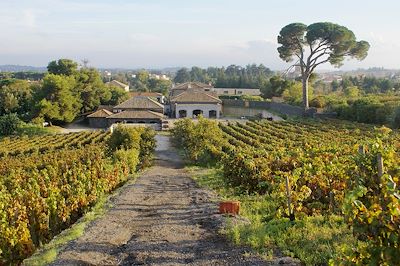 L'Italie de vigne en volcan 3