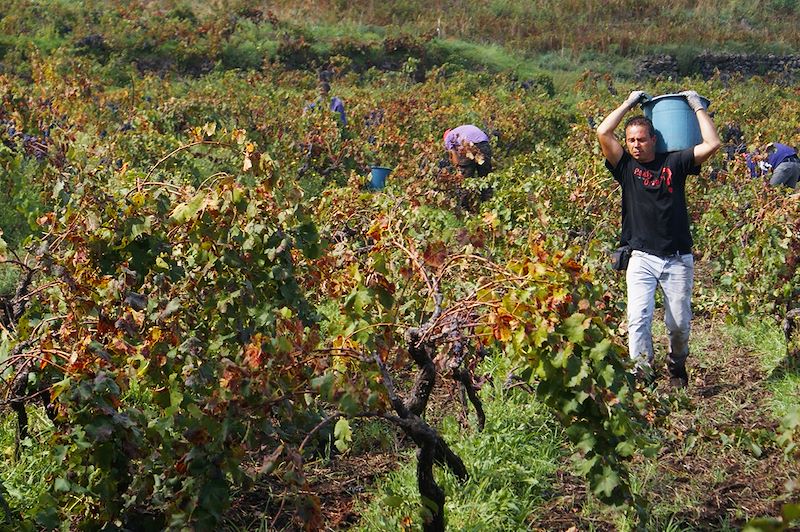 L'Italie de vignes en volcans