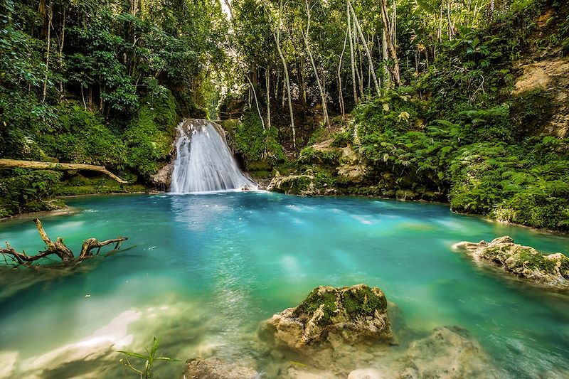 Cascade de Blue Hole près d'Ocho Rios - Saint Ann - Jamaïque