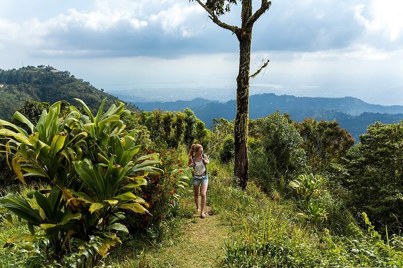 Randonnée dans les Blue Mountains - Jamaïque