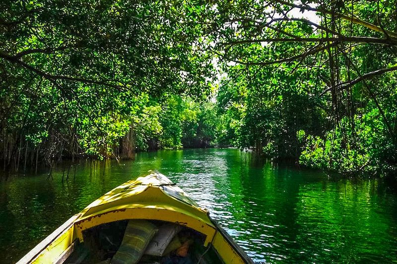 Safari bateau - Black River - Jamaïque