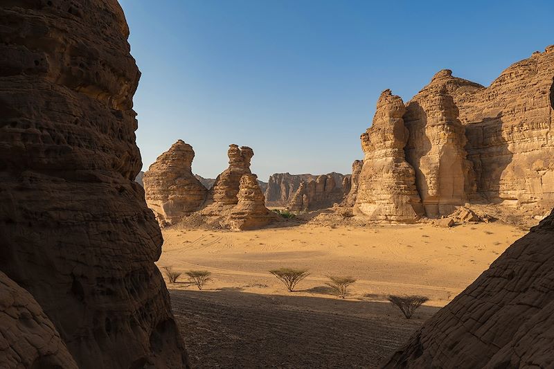 Pétra et Hégra : sur les pas des Nabatéens 